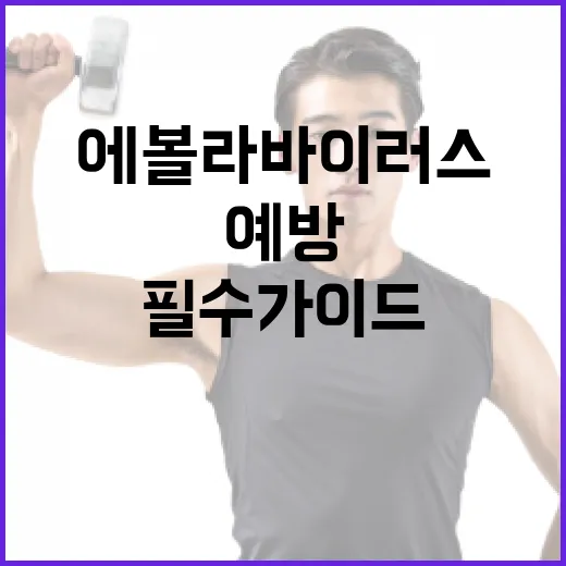 에볼라바이러스 예방을 위한 필수 가이드 - 요약