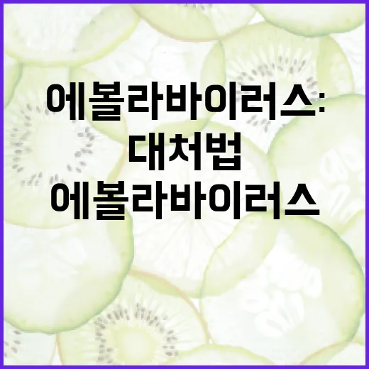 에볼라바이러스: 그 위험성과 대처법 - 요약