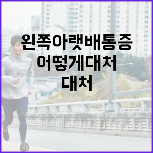 왼쪽 아랫배 통증, 어떻게 대처할까? - 요약