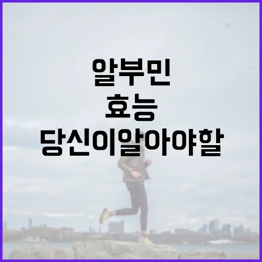 알부민의 놀라운 효능, 당신이 알아야 할 것들 - 요약
