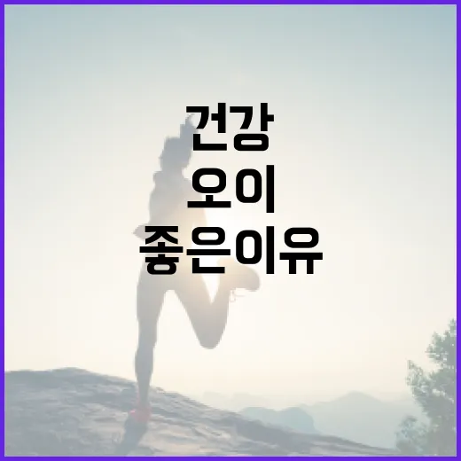 오이, 이렇게 활용해보세요: 건강에 좋은 이유 - 요약