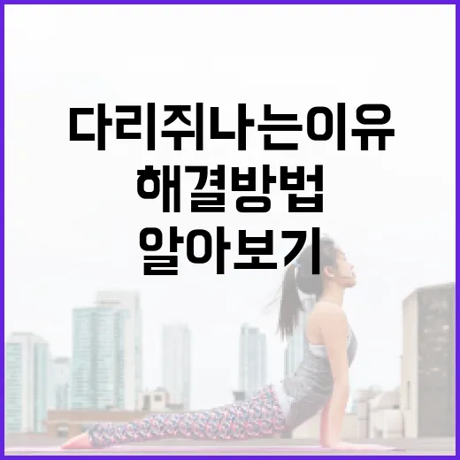 다리 쥐나는 이유와 해결 방법, 쉽게 알아보기 - 요약