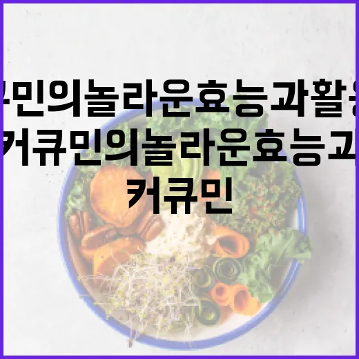 커큐민의 놀라운 효능과 활용법 - 요약