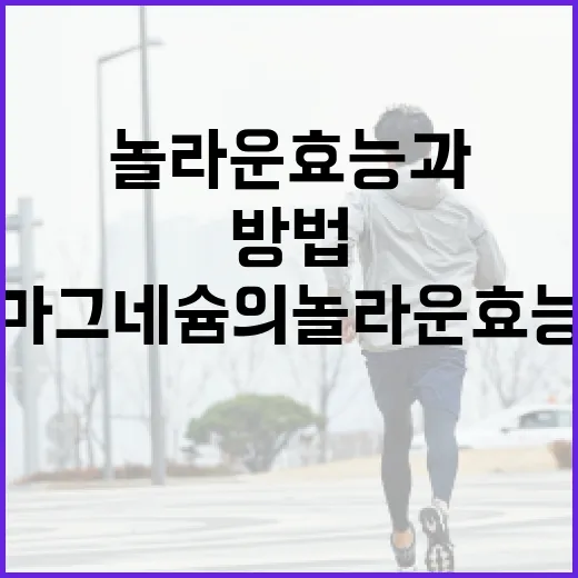 마그네슘의 놀라운 효능과 활용 방법 - 요약