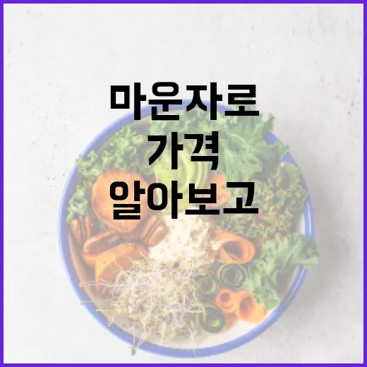 마운자로 가격 알아보고 제대로 선택하는 방법 - 요약