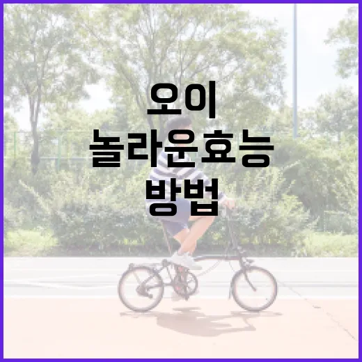 오이의 놀라운 효능과 활용 방법 - 요약