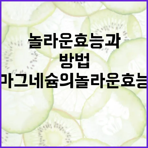 마그네슘의 놀라운 효능과 활용 방법 - 요약