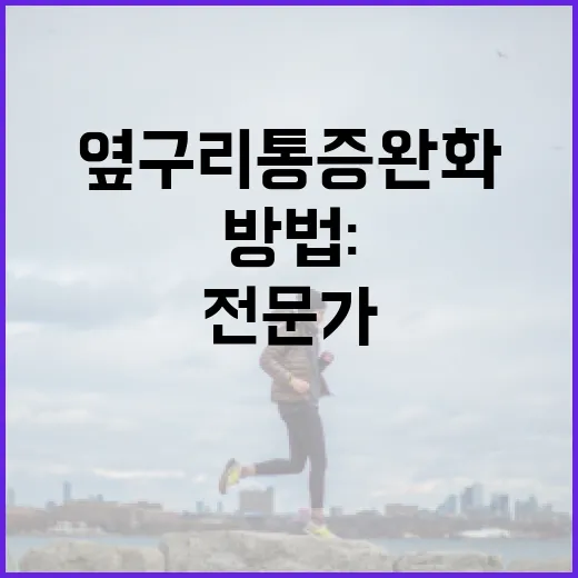 왼쪽 옆구리 통증 완화하는 방법: 전문가의 팁 - 요약