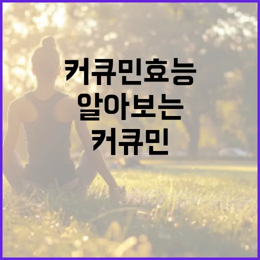 커큐민 효능을 제대로 알아보는 방법 - 요약