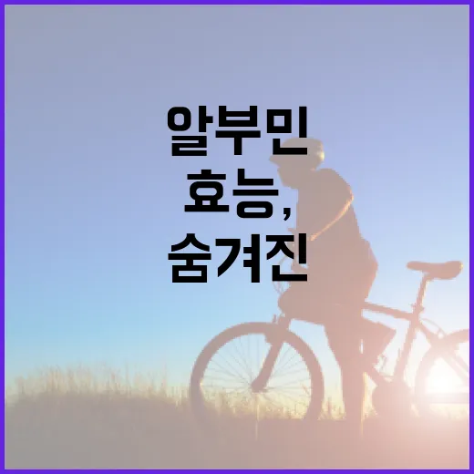 알부민의 숨겨진 효능, 건강을 업그레이드하는 방법 - 요약