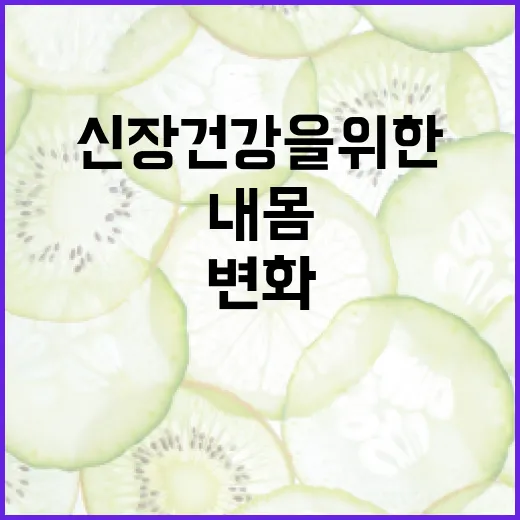 신장 건강을 위한 음식, 내 몸을 위한 작은 변화 - 요약