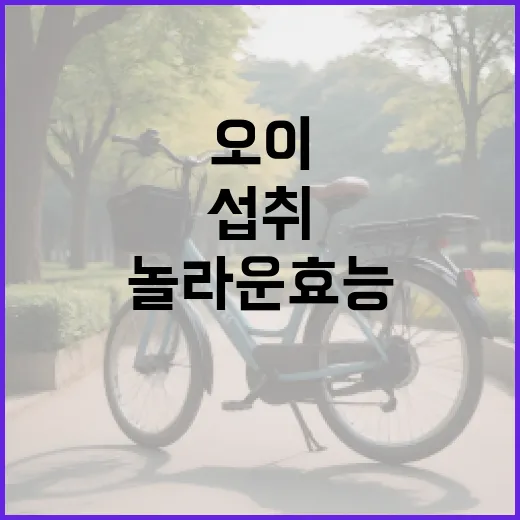 오이의 놀라운 효능과 섭취 방법 - 요약