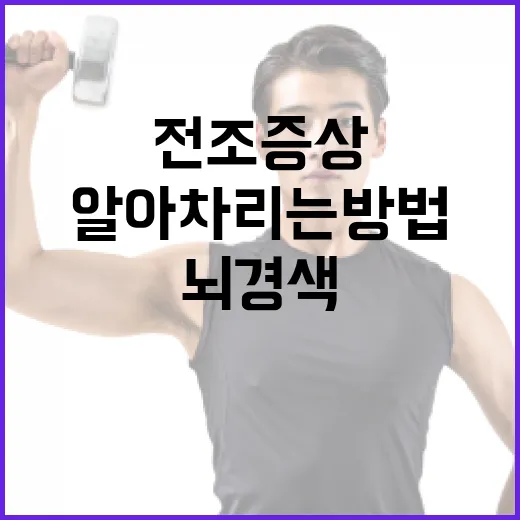 뇌경색 전조증상 알아차리는 방법 - 요약