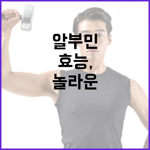 알부민의 놀라운 효능, 알고 계신가요? - 요약
