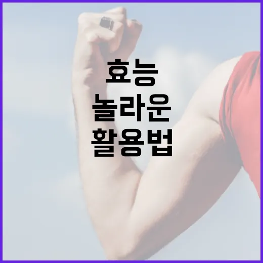 마그네슘의 놀라운 효능과 활용법 - 요약