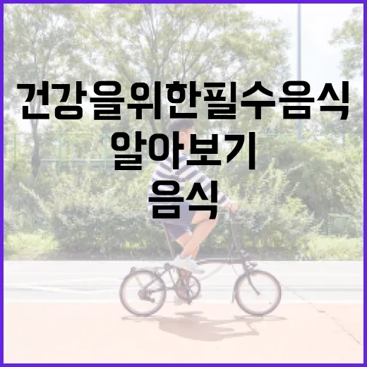 간 건강을 위한 필수 음식 알아보기 - 요약