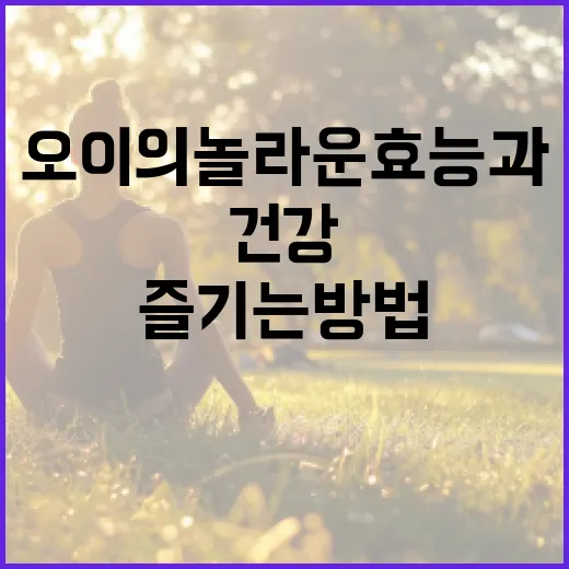 오이의 놀라운 효능과 건강하게 즐기는 방법 - 요약