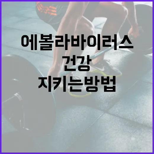 에볼라바이러스 이해하기: 건강을 지키는 방법 - 요약