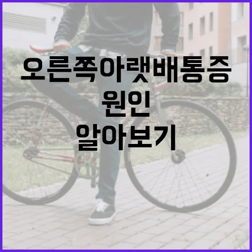 오른쪽 아랫배 통증, 원인과 관리 방법 알아보기 - 요약