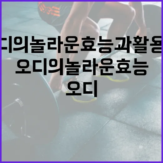 오디의 놀라운 효능과 활용법 - 요약