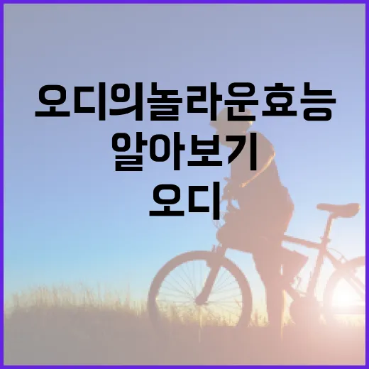 오디의 놀라운 효능 알아보기 - 요약