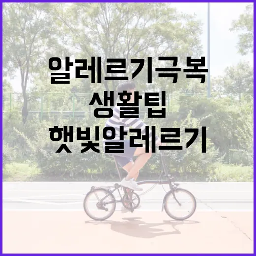 햇빛 알레르기 극복하는 방법과 생활 팁 - 요약