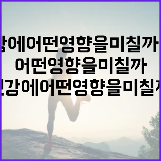마운자, 건강에 어떤 영향을 미칠까요? - 요약