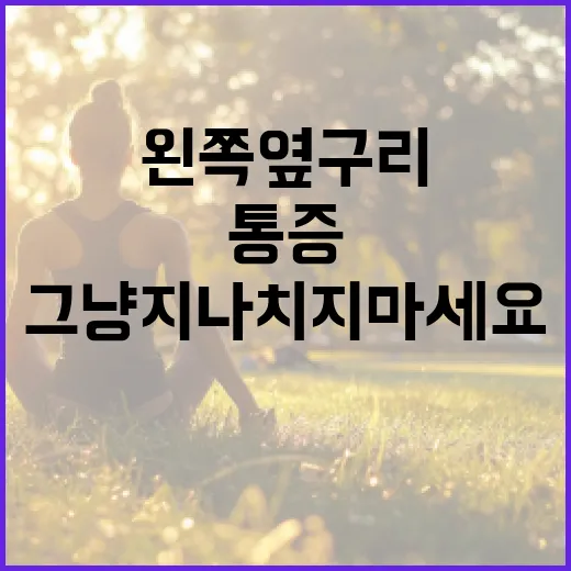 왼쪽 옆구리 통증, 그냥 지나치지 마세요! - 요약