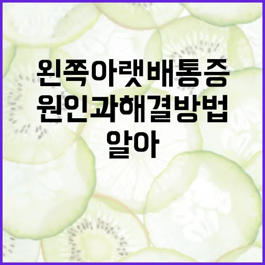 왼쪽 아랫배 통증: 알아두면 좋은 원인과 해결 방법 - 요약