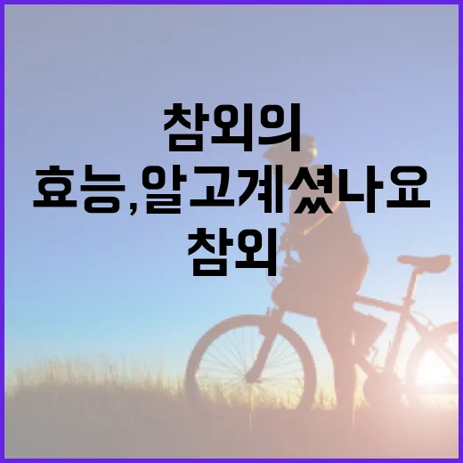 참외의 놀라운 효능, 알고 계셨나요? - 요약
