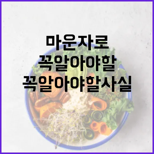 마운자로의 매력: 꼭 알아야 할 사실들 - 요약