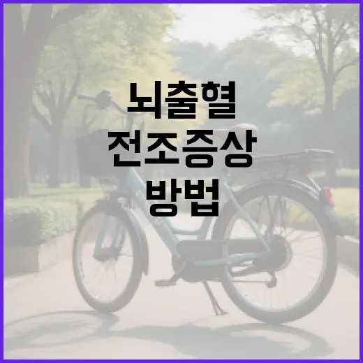 뇌출혈 전조증상을 알아채는 방법: 건강한 삶을 위한 첫걸음 - 요약
