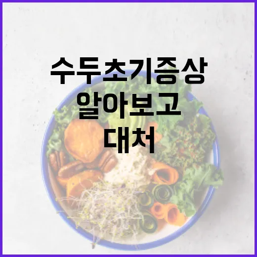 수두 초기증상 알아보고 빠르게 대처하는 방법 - 요약