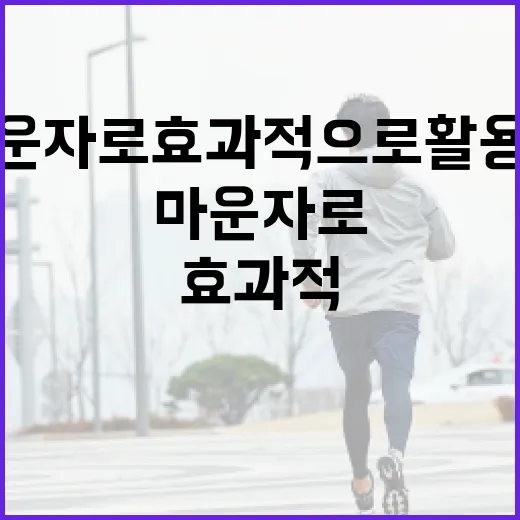 마운자로 효과적으로 활용하는 방법 - 요약