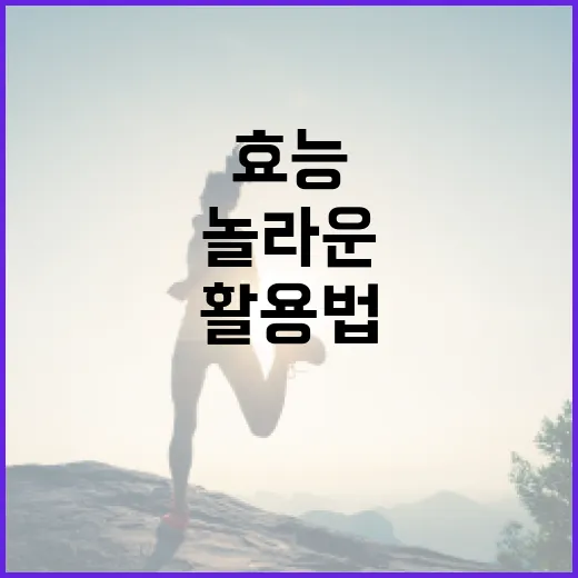마그네슘의 놀라운 효능과 활용법 - 요약