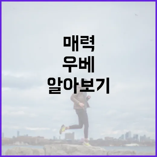 우베의 매력과 건강에 좋은 이유 알아보기 - 요약