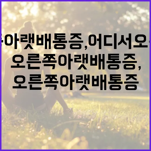 오른쪽 아랫배 통증, 어디서 오는 걸까요? - 요약