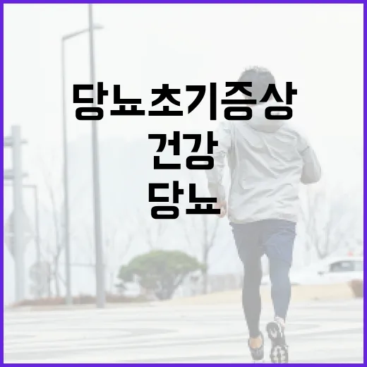 당뇨 초기증상 알아보고 건강 챙기기 - 요약