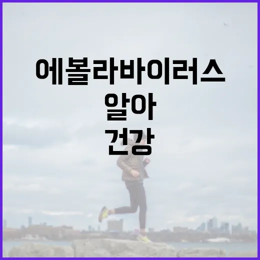 에볼라바이러스, 알아두면 좋은 건강 정보 - 요약