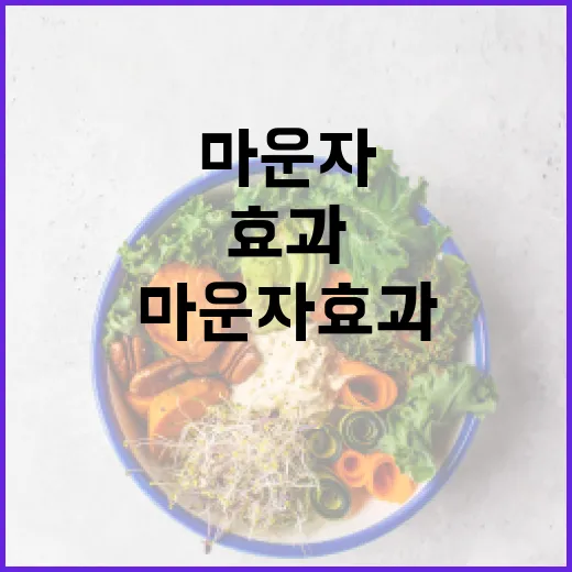 마운자 효과를 극대화하는 방법 - 요약