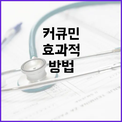 커큐민 효과적으로 활용하는 방법 - 요약