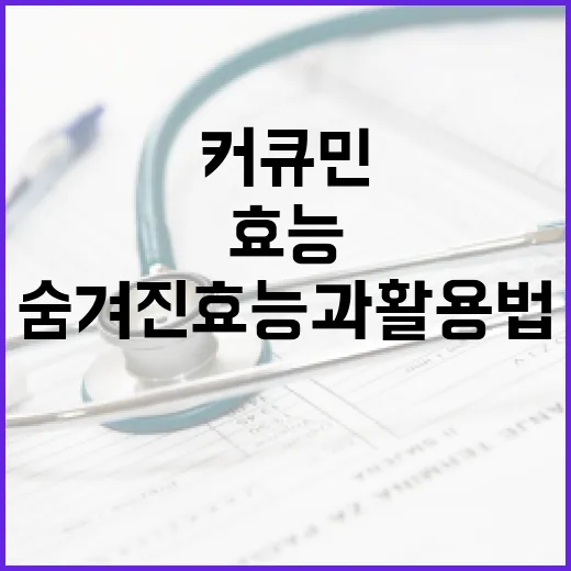 커큐민의 숨겨진 효능과 활용법 - 요약