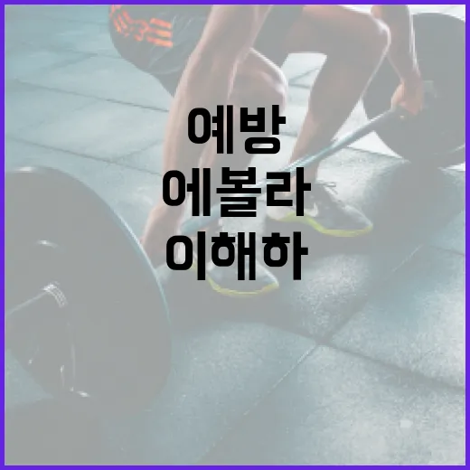 에볼라바이러스를 이해하고 예방하는 방법 - 요약