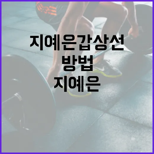 지예은 갑상선을 건강하게 유지하는 방법 - 요약