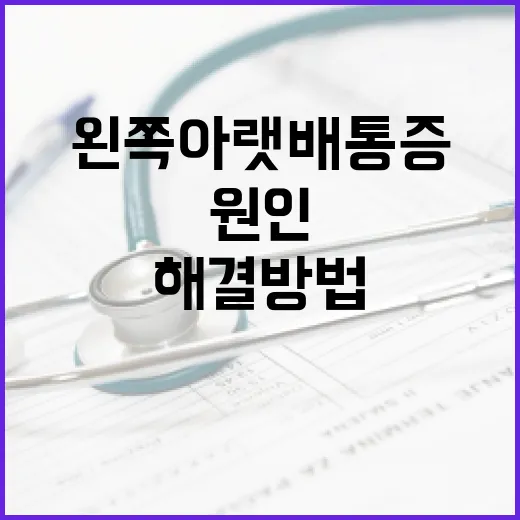 왼쪽 아랫배 통증, 원인과 해결 방법 알아보기 - 요약