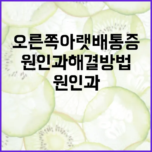 오른쪽 아랫배 통증, 원인과 해결 방법은? - 요약