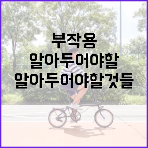 마운자의 부작용: 알아두어야 할 것들 - 요약
