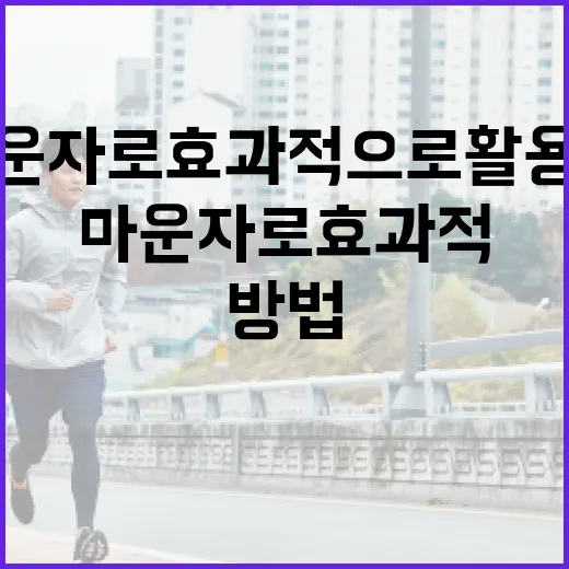 마운자로 효과적으로 활용하는 방법 - 요약