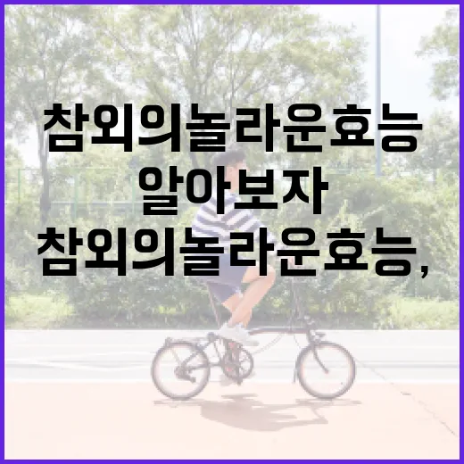 참외의 놀라운 효능, 제대로 알아보자! - 요약