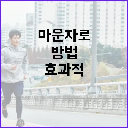 마운자로 효과적으로 몸을 단련하는 방법 - 요약